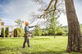 Best Residential Tree Removal  in Bellville, TX